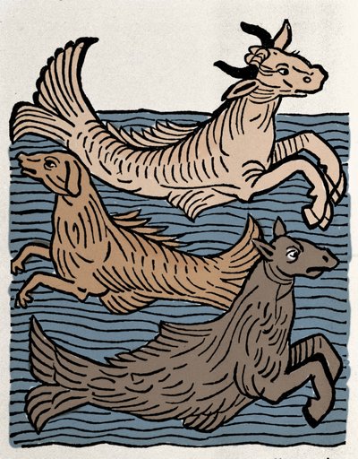 Fantasie wezens: weergave van een koe, hond en zeepaard. Gravure uit 