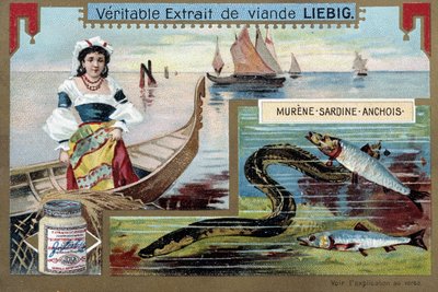 Vissersboten en vis (murene, sardine, ansjovis) door Unknown artist