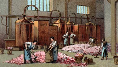 Bloemendistilleerderij voor de productie van benzine en bloemenwater. Chromolithografie van het einde van de 19e eeuw. door Unknown artist