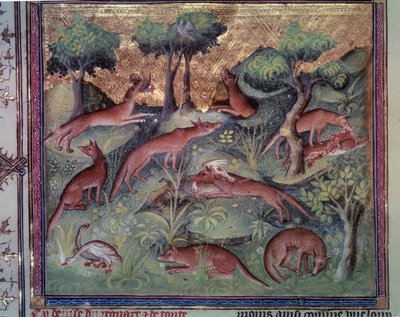 Vossenjacht op pluimvee. Miniatuur uit het manuscript 