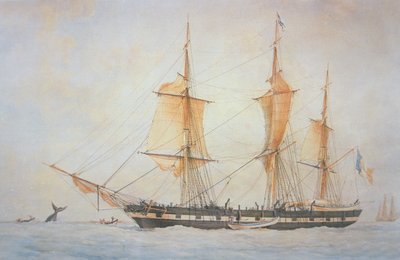 Frans walvisschip, ca.1845 door Unknown artist
