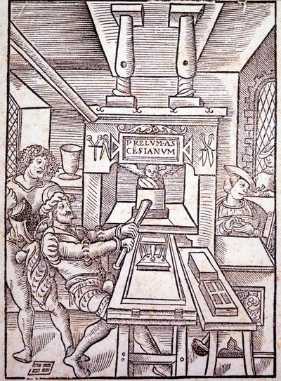 Franse pers. 16e eeuw. door Unknown artist