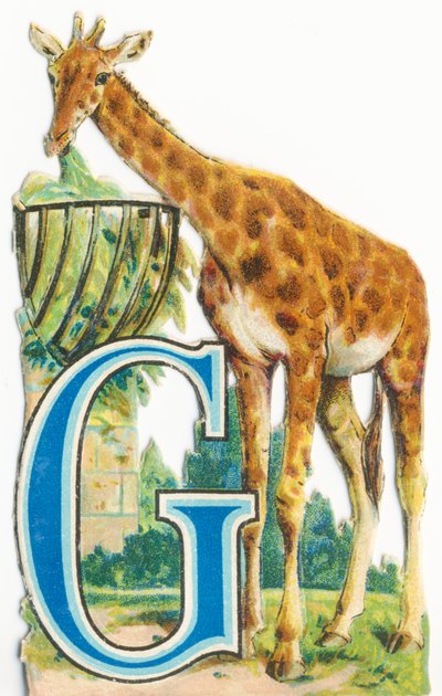 G: Giraffe door Unknown artist