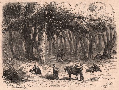 Groep mensen die paddenstoelen plukken in het bos van Fontainebleau door Unknown