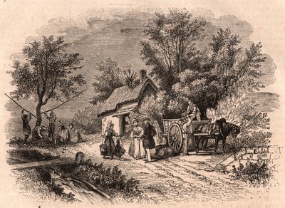 Appeloogst in Normandië, Frankrijk door Unknown