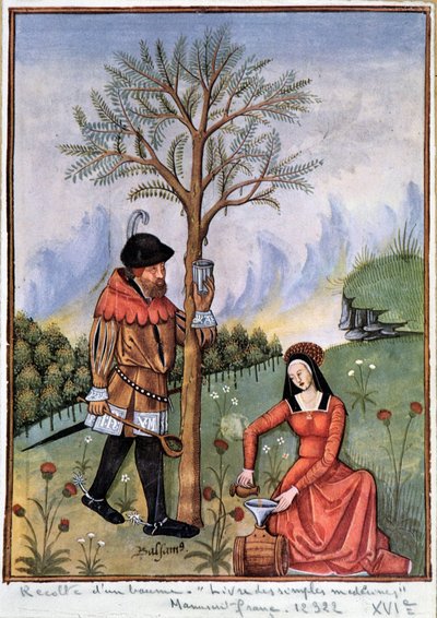 Oogsten van balsem - Boek van eenvoudige medicijnen door Unknown artist