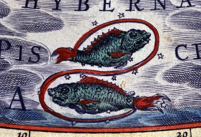 Horoscoop: sterrenbeeld Vissen. 16e-eeuwse gravure door Unknown artist