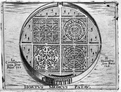 Hortus Medicus Patav: Medische Tuin van Padua. door Unknown artist