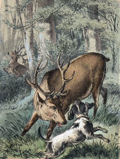 Illustratie van Franz Hoffmann