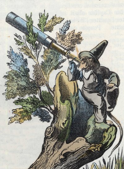 Illustratie van het sprookje 