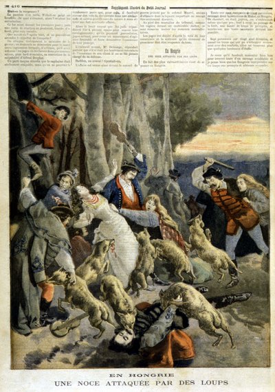 In Hongarije: een bruiloft aangevallen door wolven - in "Le Petit Journal" van 23/12/1894 door Unknown artist