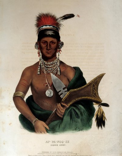 Indiaan van Amerika: Portret van een Indiaanse opperhoofd van de Saukie Ap Pa Noo See door Unknown artist