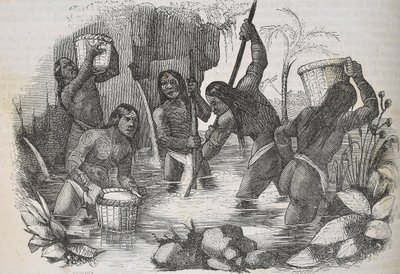 Indianen van het eiland Hispaniola die goud pannen door Unknown artist