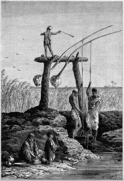 Irrigatie in Egypte: chadoufs (of shadoufs) aan de oevers van de Nijl. Gravure in "Le Monde Illustré" nr. 1313 van 27 mei 1882. door Unknown artist