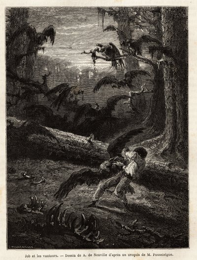 Job (reisgenoot van de redacteur), aangevallen door gieren. Gravure ter illustratie van het verhaal Quatre mois en Florida, door M. Pousselgue, in 1851-1852, gepubliceerd in 
