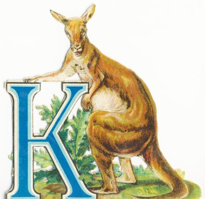 K: Kangoeroe door Unknown artist