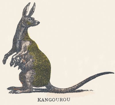 K: kangoeroe door Unknown artist