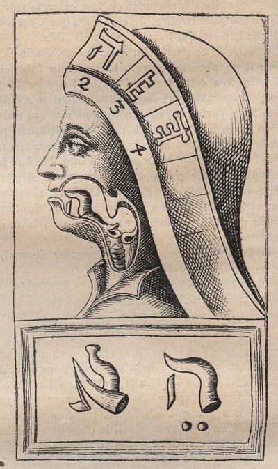 Kabbalah - Illustratie uit: Alphabeti vere naturalis Hebraici brevissima delineatio (Het Alfabet van de Natuur) van Franciscus Mercurius van Helmont (1618-1699) door Unknown artist