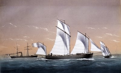 La Fleet universelle - in 