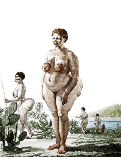 De Hottentot Venus, vrouw van het Bochiman-ras, gravure uit 1815. door Unknown artist