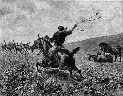 Lasso: jacht op kasuaris met ballenlasso. Gravure in 