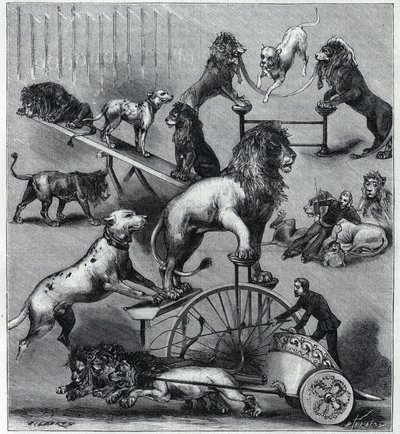 De leeuwen van het Nouveau Cirque in Parijs: verschillende trucs van een acrobatennummer met leeuwen, temmers en honden. Gravure in 
