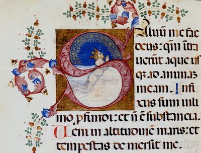 Lettrine S: David in het diepe licht - Antifonarium uit de 15e eeuw. Gemeentelijke Bibliotheek van Rimini. door Unknown artist