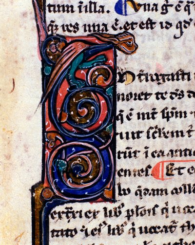 Lettrine versierd met een gotisch monster dat doet denken aan de waterspuwers (detail) door Unknown artist