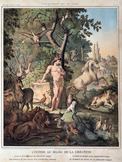 De mens in het midden van de Schepping - in "Histoire Sainte", ed. Hachette door Unknown artist