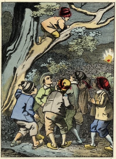 Klein Duimpje klimt in een boom en zoekt zijn weg. Hij pakt een lichtje in het bos. Illustratie van Charles Perrault