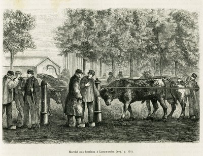 Vee dat loopt in Leeuwarden (Nederland). Gravure ter illustratie van het verhaal La Frise, gebaseerd op een relatie van een Nederlandse krant, in le tour du monde 1886, onder leiding van Edouard Charton (1807-1890), Hachette, Parijs. door Unknown artist