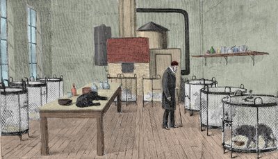 Louis Pasteur (1822-1895), Franse chemicus en natuurkundige in zijn laboratorium in Parijs door Unknown artist
