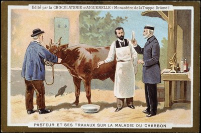 Louis Pasteur en zijn werk over miltvuur - reclame-etiket van Chocolats d