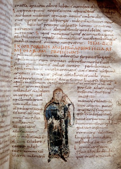 Manuscriptpagina uit "De simplicibus medicamentis" van Claude Galien (v. 131 - v. 201). 8e of 9e eeuw. Governativa van Lucca door Unknown artist