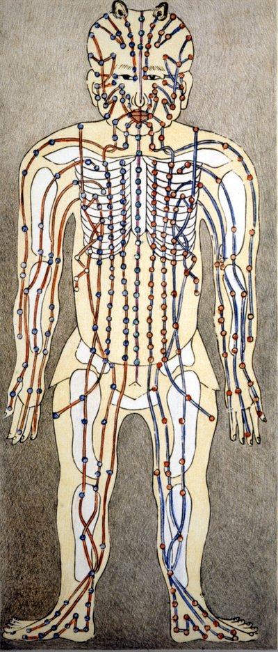 Geneeskunde. Diagram van het menselijk lichaam uit een acupunctuur verhandeling. Privébibliotheek, Milaan door Unknown artist