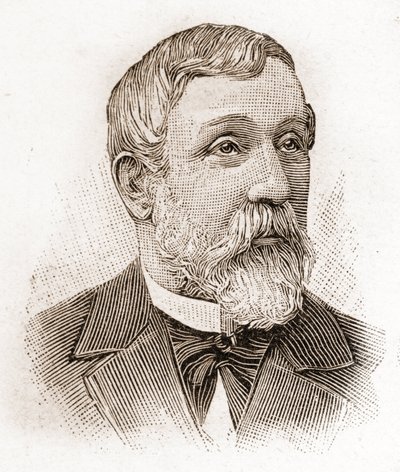 Portret van Alfred Mezieres (1826-1915), literatuurhistoricus, Frans politicus en essayist door Unknown artist