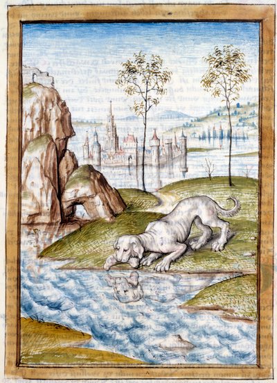 Miniatuur dieren uit een Duitse vertaling van de fabels van Kalila en Dimna door Bidpai door Unknown artist