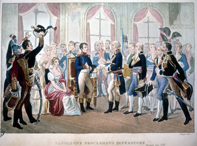 Napoleon werd uitgeroepen tot keizer in 1804 door Unknown artist