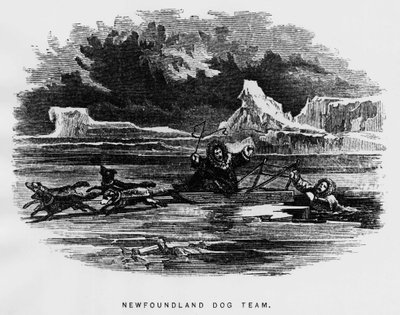Noordpool: sledehond zweeft een man valt door het ijs - Elisha Kent Kane, Arctische Verkenningen in de jaren 1853-1855, Philadelphia, Childs en Peterson door Unknown artist