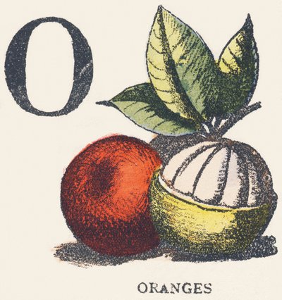 O: sinaasappels door Unknown artist