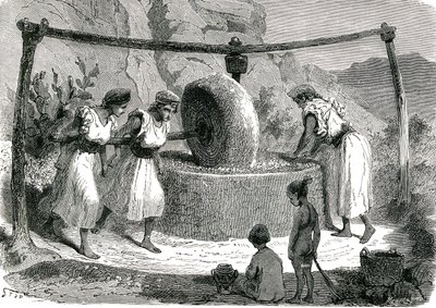 Olijvenmolen in Algerije 1885 door Unknown artist