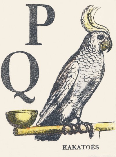 P Q: kaketoes door Unknown artist