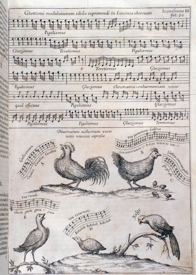 Pagina uit Musurgia (1650) door Unknown artist