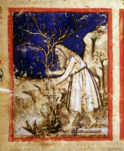 Pagina van een bijbelmanuscript. Noach