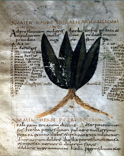 Pagina van het manuscript van Apuleius (Lucius Apuleius) (ca. 125-ca. 180), 