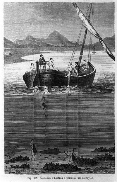 Parelduikers in Ceylon (het huidige Sri Lanka) door Unknown artist