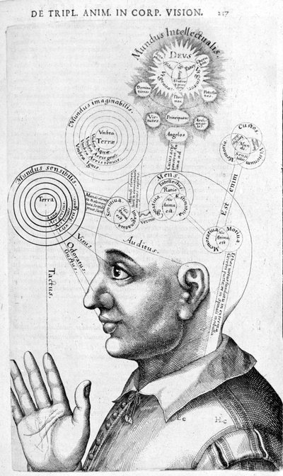 Fysiognomie afbeelding (frenologie) uit Collectio Operum door Robert Fludd. Londen 1617 door Unknown artist