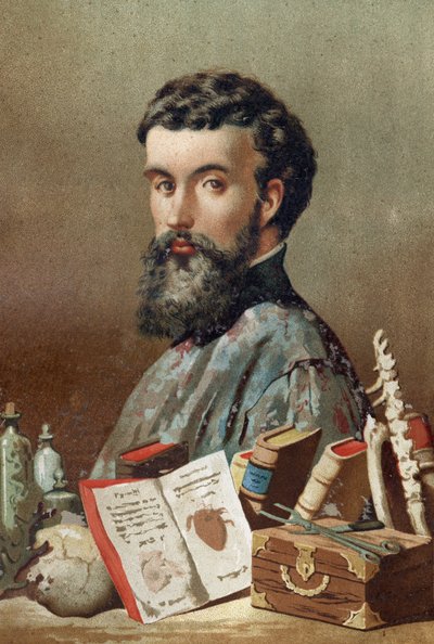 Portret van André Vésale (1514-1564), Nederlandse anatoom (In het Latijn: Andrea Vesalius, in het Nederlands: Andries Van Wesel) uit 