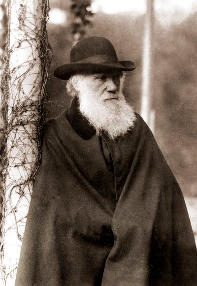 Portret van Charles Darwin (1809-1882) door Unknown artist