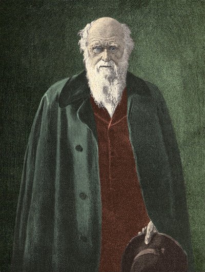 Portret van Charles Darwin (1809 - 1882) door Unknown artist